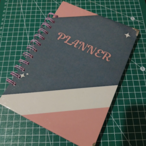 Planner 12 meses sin Fechar
