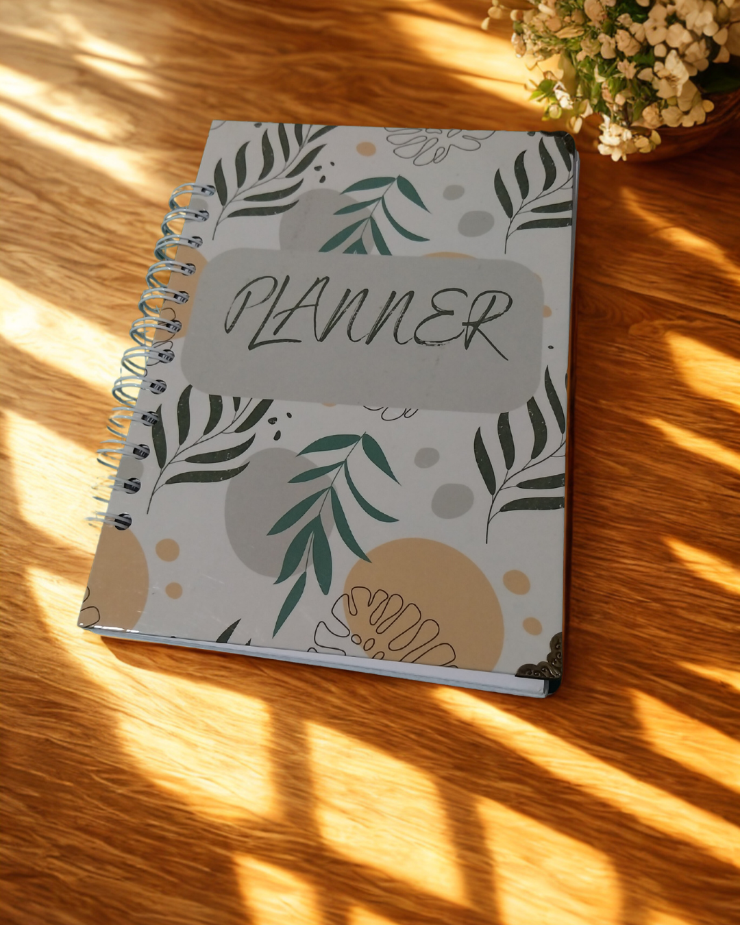Planner 12 meses sin Fechar