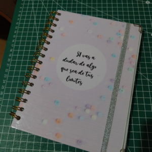 Planner 12 meses sin Fechar