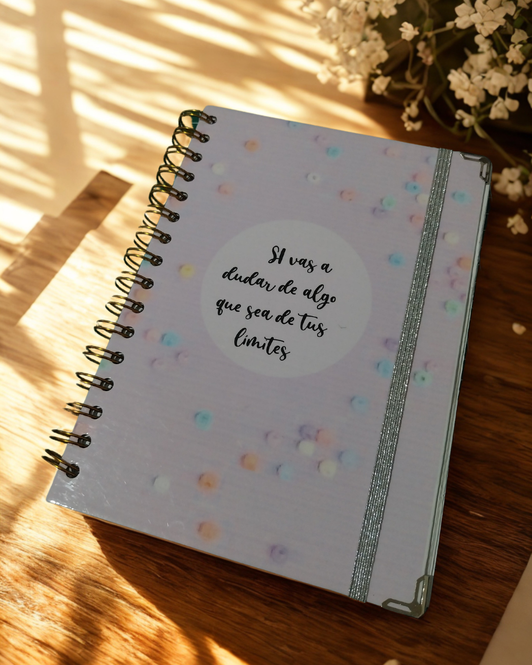Planner 12 meses sin Fechar
